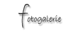 ueberschrift_fotogalerie